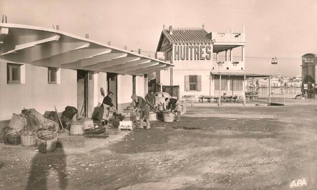 Photo représentant un établissement de traitement des huitres à Bouzigues