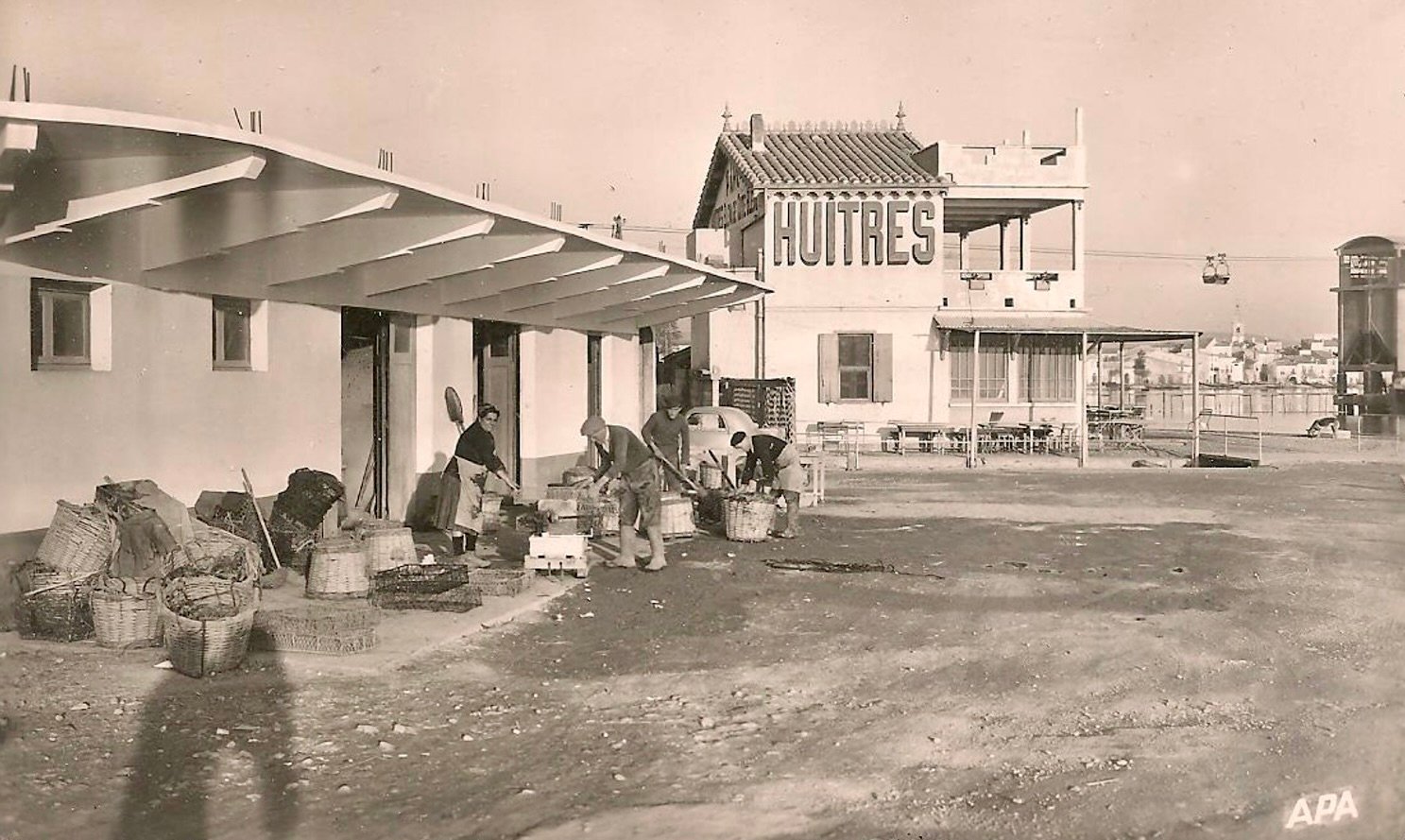 Photo représentant un établissement de traitement des huitres à Bouzigues