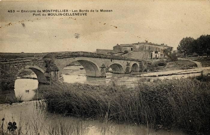 452076932 10230428609730474 1384185924375017489 n