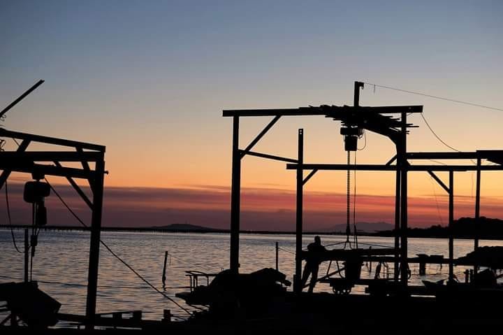 L'Étang de Thau et la Culture des Huîtres 2 47267413 782069685462623 6842559097884114944 n 1